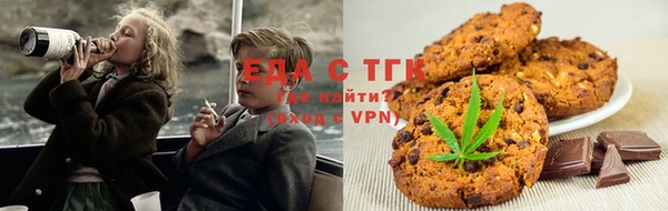 гашик Алексин