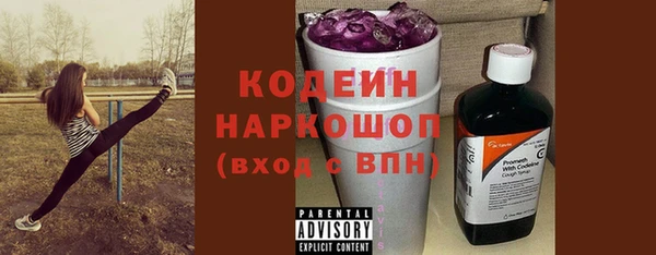 индика Арсеньев