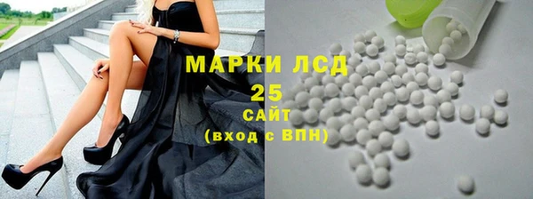 гашик Алексин