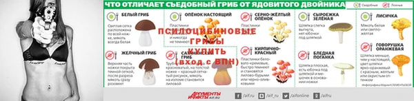 гашик Алексин