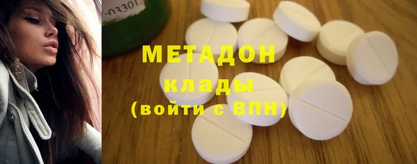 гашик Алексин