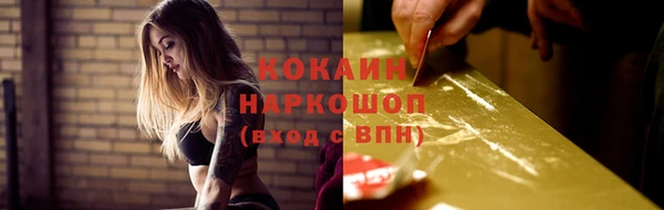 гашик Алексин