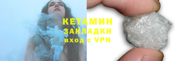 гашик Алексин