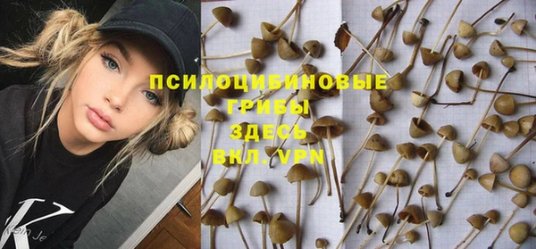 ALPHA-PVP Алексеевка