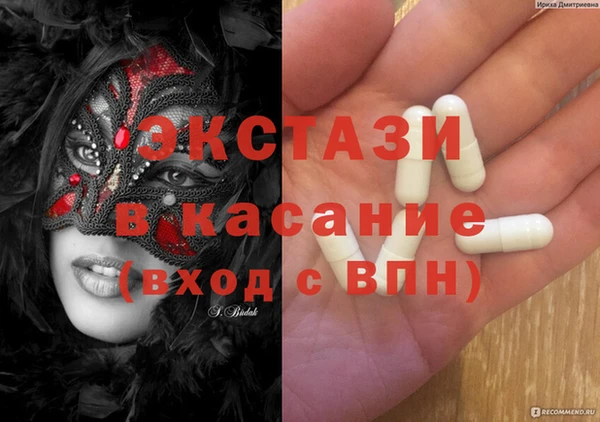 гашик Алексин