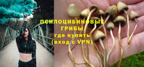 ALPHA-PVP Алексеевка