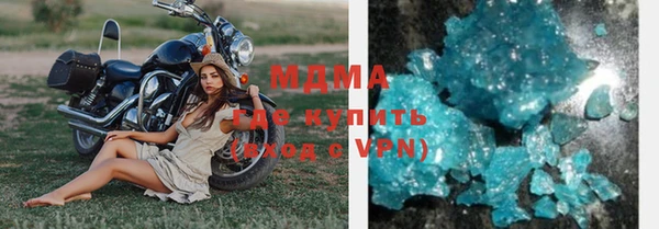 гашик Алексин