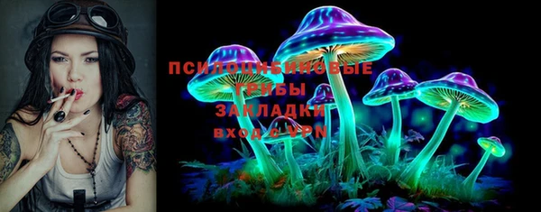 индика Арсеньев