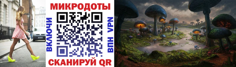 Галлюциногенные грибы Psilocybe  Пустошка 